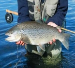 Fly Fishing West Greenland
