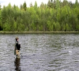 Fishing in lvdalen, Sweden