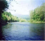 Bass Fishing Shenandoah River Virginia