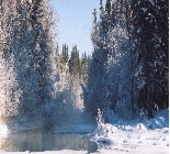 Fishing Braeburn Lake Yukon