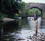 Fly Fishing River Suir