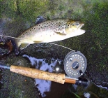 3 Nights Weekend Fly Fishing Tour In Prague