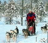 Fishing and Sleddog tours in Sweden