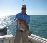 Marco Island, Fl Offshore wreck and reef fishin