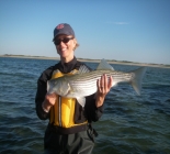 Fly and Light Tackle Fishing for Stripers