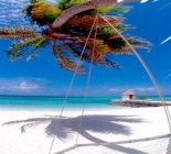 Paradise Island Resorts, Fishing & Watersports