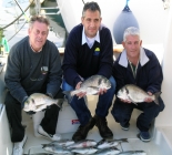 Fishing Tours From Estepona, Malaga