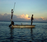 Caribbean Island Fly Fishing