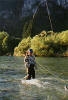 Fly Fishing At Reka Hisa, Slovenia