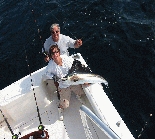 Florida Swordfishing Charter / Sailfishing/Deep Sea Charter