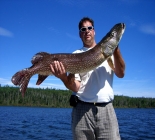 Angler's Paradise In Northern Saskatchewan