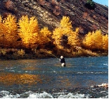 Steelhead Fishing Rocky Mountains, Idaho