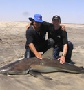 Shark Fishing in Anglers Den, Namibia