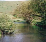 River Dove Trout Fishing