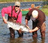 Gaspe Atlantic Salmon Fishing