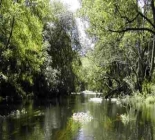 Fly Fishing In Northern Spain