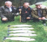 Salmon Fishing In Ireland