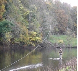 Salmon And Sea-Trout Encounters