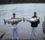Alaska Kenai River And Homer Halibut 2 For 1