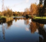 Salmon Fly Fishing On The River Tweed