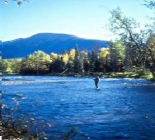 Run Wild Alaska River Fishing