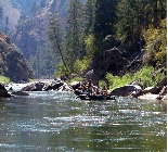 Idaho Native Cutthroat and Rainbow Trout