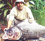 5 day Freshwater Fishing in Thailand.