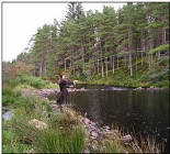 Salmon Fishing River Halladale Scotland