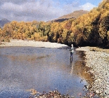 Fly Fishing Central Otago New Zealand