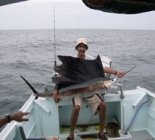 Sailfish Fishing On The East Coast Of Malaysia