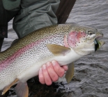 Alaska Float Fishing Trips