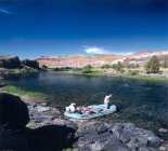 John Day River For Steelhead