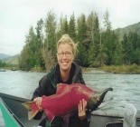 Guided Rainbow And Salmon Fishing Trips