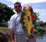 Florida Peacock & Largemouth Bass Fishing