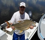 Upper Zambezi Luxury Housboat Tiger Safari