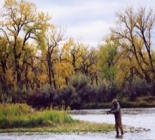 Bighorn River Fly Fishing