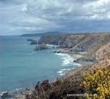 Fly Fishing In Cornwall