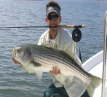 Maine Saltwater Fly Fishing, Striped Bass Fishing