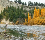 Fishing In Wanaka, South Island New Zealand