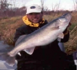 Walleye Fishing Red River Canada