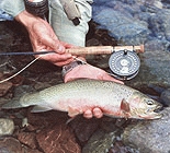 Fly Fishing Montana Wilderness Pack & Float