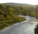 Scottish Borders Brown Trout  Guided Package