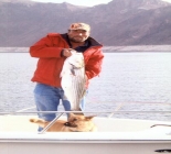 Fishing Lake Mead Nevada