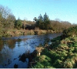 Salmon Fishing Ireland