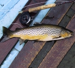 Highland Trout Lochs