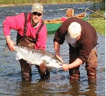 Atlantic Salmon Fishing Gaspe Quebec