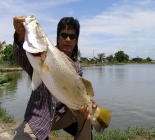 Lure & Fly Fishing For Barramundi *exclusive