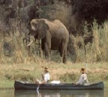 The Ultimate Safari & Fishing Adventure