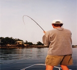Maine Saltwater Fly Fishing, Striped Bass Fishing