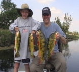 South Florida Peacock Bass Fishing